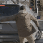 Videos revelan violento enfrentamiento previo a la muerte de Alex Pretti y reavivan el debate nacional