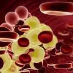 FDA aprueba la primera píldora que reduce el colesterol “malo”: un avance histórico contra las enfermedades cardíacas