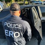 ICE suspende las detenciones de vehículos tras dos tiroteos mortales durante operativos migratorios